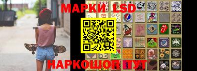 стаф Аргун