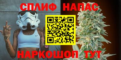 стаф Аргун