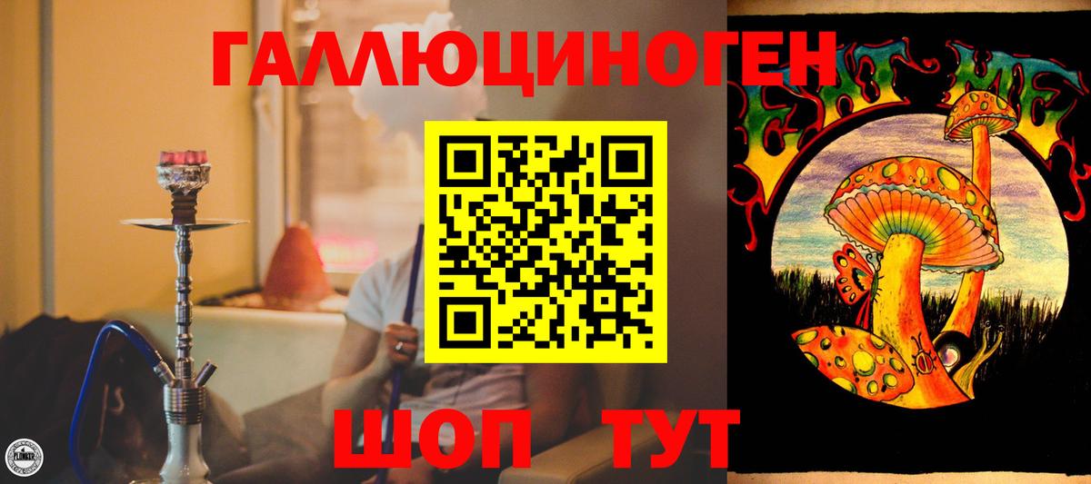 Галлюциногенные грибы мицелий  Вход с VPN  Аргун  Галлюциногенные грибы Psilocybine cubensis 