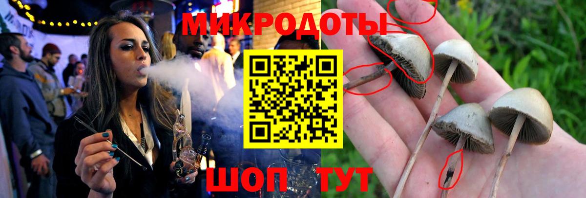 Галлюциногенные грибы Magic Shrooms Аргун